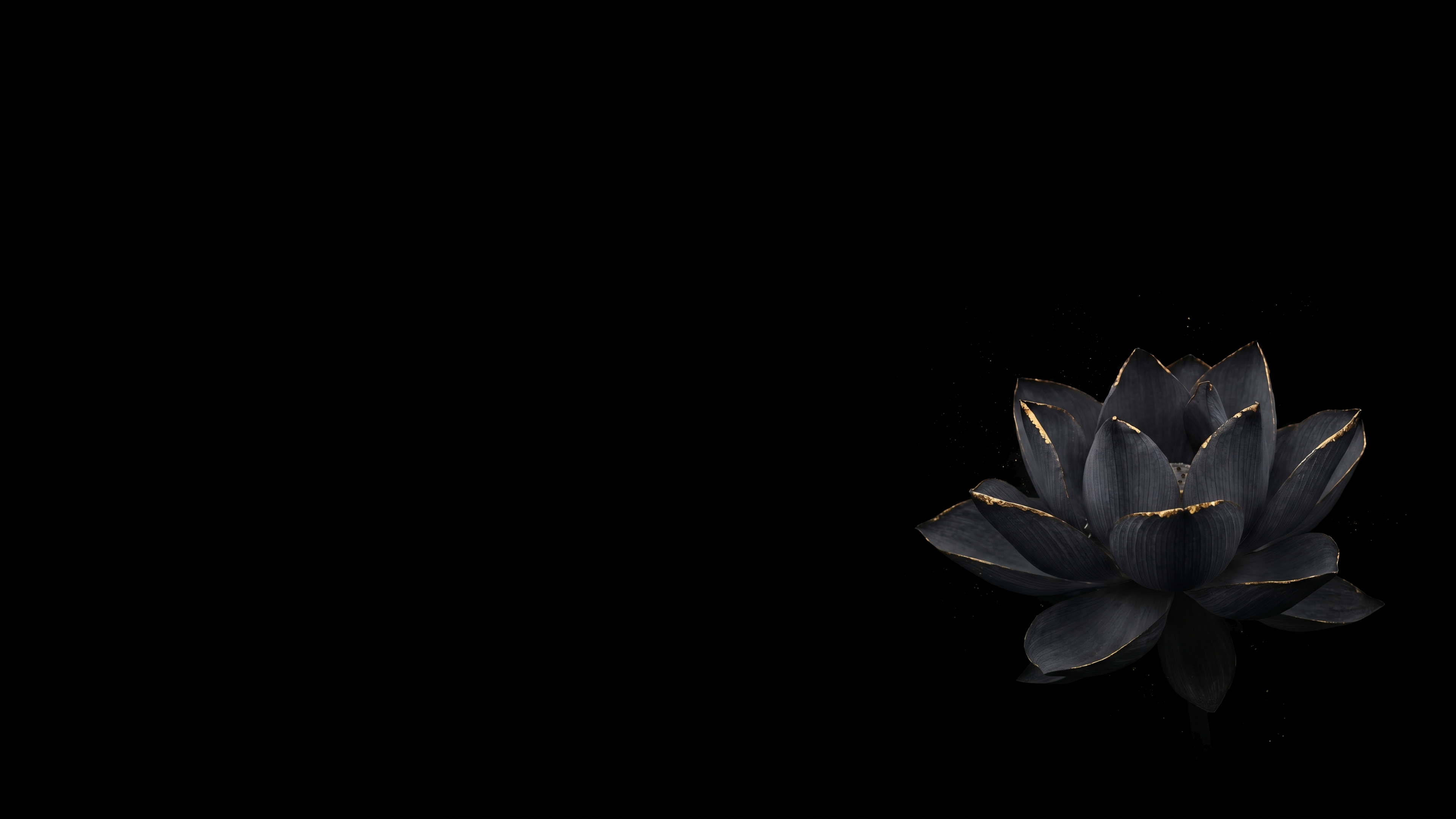 Dark Lotus Flower Gold Highlights 2
